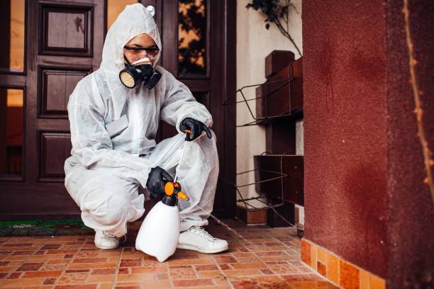 Reliable Wasp Removal contractor in Dalworthington Gardens, TX by Show Me Pest Control