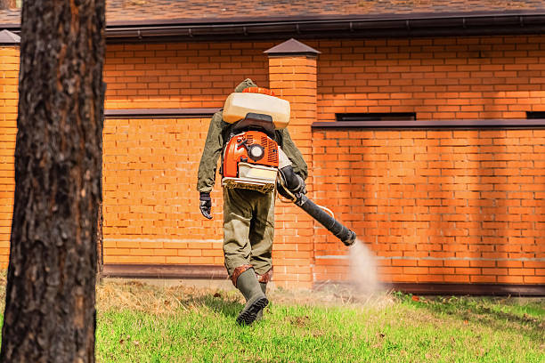Top rated local Wasp Removal specialists in Dalworthington Gardens, TX